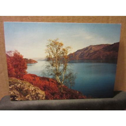 LOCH NESS, Inverness-shire .unused postcard by J. Arthur Dixon PIN/83644 =