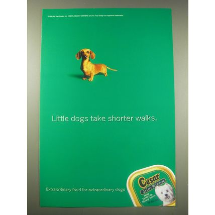1999 Cesar Select Dinners Dog Food Ad - Little dogs take shorter walks