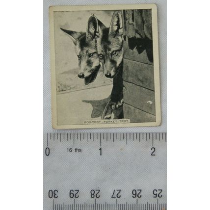 1935 De Reszke Our Favourites No. 14 Fox-trot - Turkey-trot - two foxes