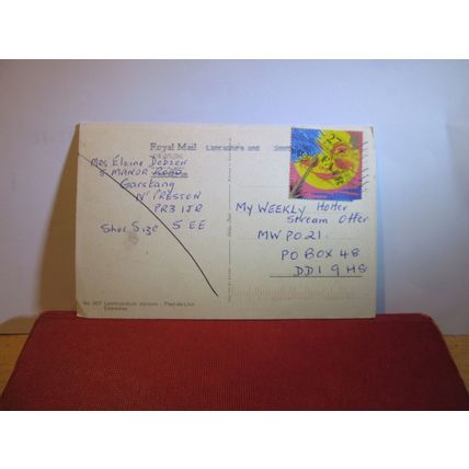 EDELWEISS flowers Swiss used postcard =