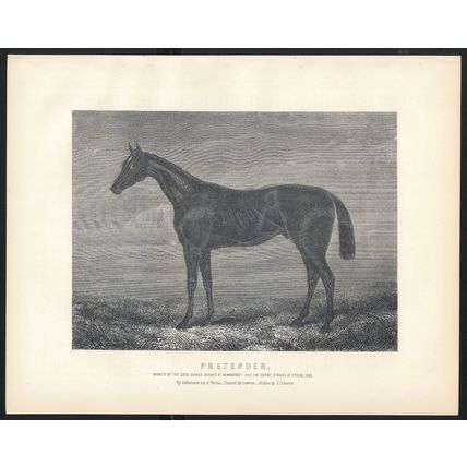 PRETENDER 1890 Racehorse Derby Newmarket - John Osborne VICTORIAN ENGRAVING