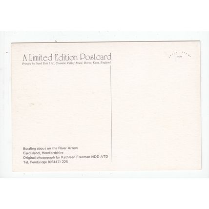 River Arrow Eardisland Herefordshire Modern Postcard Noel Tatt Limited Edition
