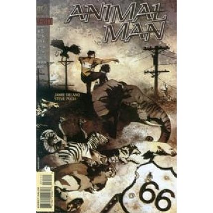 Animal Man (Vol 1) # 075 NM MODERN AGE COMICS