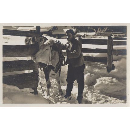 Adelboden Farmer Farming Cow In Snow Switzerland Old Postcard