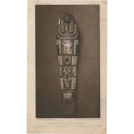 Peta Amen Mummy Antique Egyptian Tomb Rare Postcard