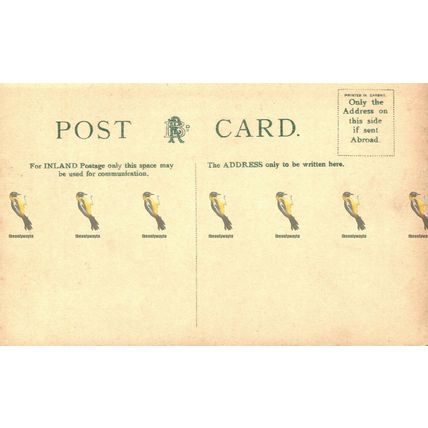 Deal Castle, Kent, Brown and Rawcliffe Saxony Postcard, 1900s
