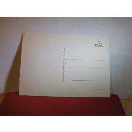 OLDENBURG, GERMANY unused vintage postcard =