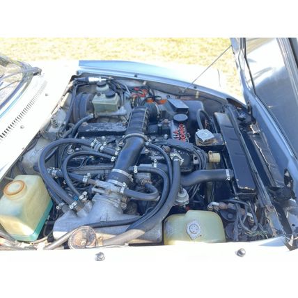 1986 Alfa Romeo Spider Quadrifoglio