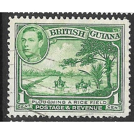 BRITISH GUIANA 1938/1952 SG 308aa - fine used (o)