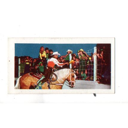 SINGLE KANE PRODUCTS TRADE CARD ROY ROGERS COLOUR SERIES 1958 NUMBER 6