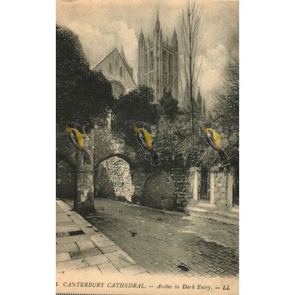 Canterbury Cathedral, Arches In Dark Entry, Kent, 64 LL Postcard