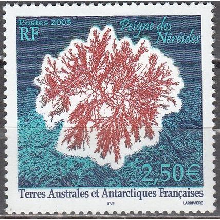 TAAF 2005 Michel 563 Neuf ** Cote (2005) 10.00 € Peigne de Néréides