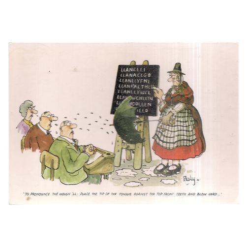 WALES humour.. ..unused 1987 postcard by J.Arthur Dixon PHU/24575 #