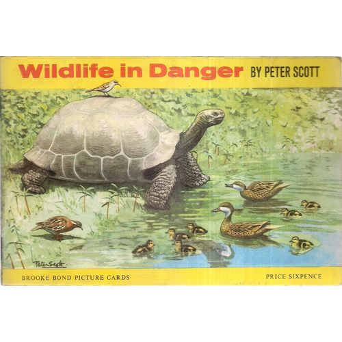 WILDLIFE IN DANGER Brooke Bond Tea complete album.... 50 cards glued in