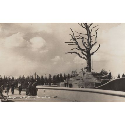 Rotterdam Diergaarde Blij-Dorp Dutch Real Photo Postcard