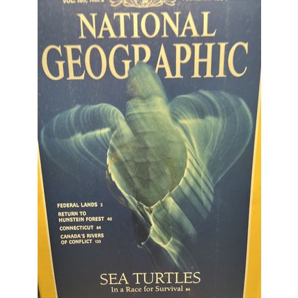 National Geographic Magazine February 1994 Sea Turtles - Vintage Collectable