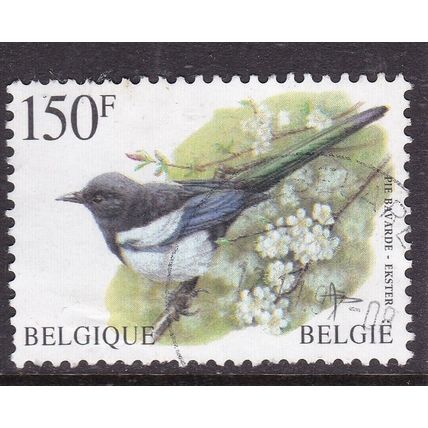 Belgium 1997 Black Billed Magpie 150f Fine Used SG 3316 VGC