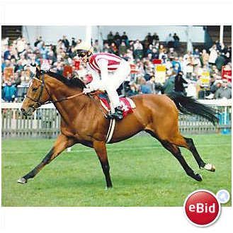 RACING Press Photo ADAM SMITH Frankie Dettori 1992