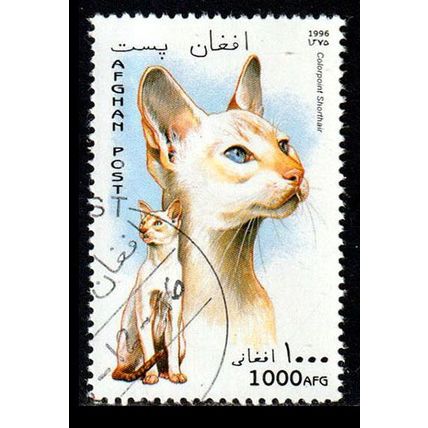 Afghanistan 1996 Cat 1000AFG Used Stamp