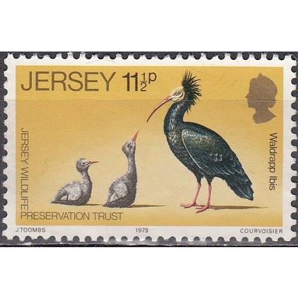 Jersey 1979 Michel 209 O Cote (2008) 0.40 Euro Oiseau Ibis chauve