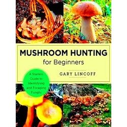 New Shoe Press Mushroom Hunting For Beginners