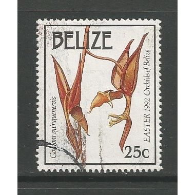 Belize 1992 Easter 25c Orchid, used. SG1120