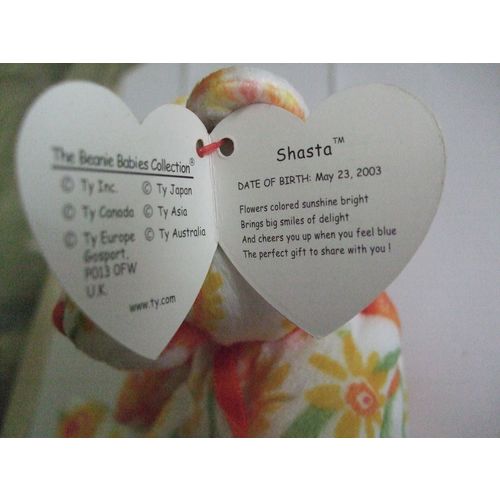 TY The Beanie Babies Collection Shasta 2003 DOB May 23, 2003