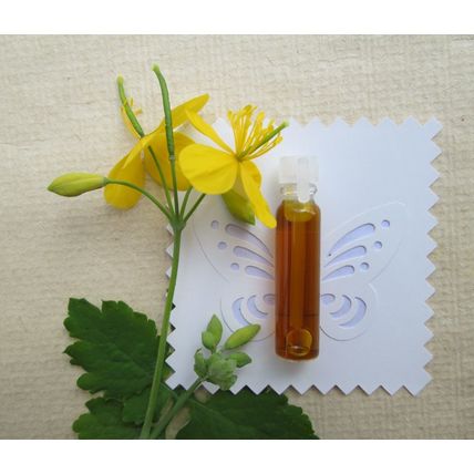 Flüssigkeit FÜR Warzen und Papillome/Wild Schöllkraut Saft/Hand Made + Geschenk!