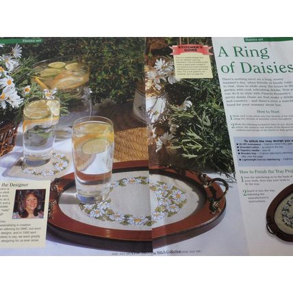 A Ring of Daises Cross Stitch Chart From Magazine