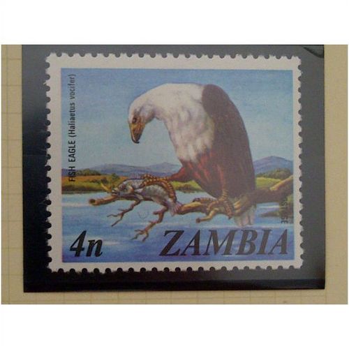 Zambia QEII 1975 4n African Fish Eagle Unmounted Mint NHM SG 229 Sc 138