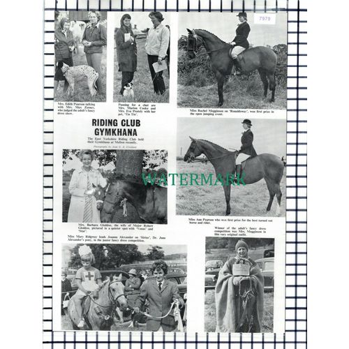 (7979) East Yorkshire Riding Club Melton Mary Ridgway Gleddoe Megginson - 1965