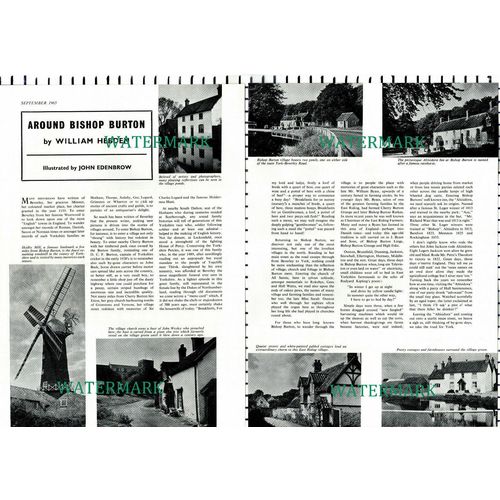 (8019) Bishop Burton Altisidora Inn - 1965 Article