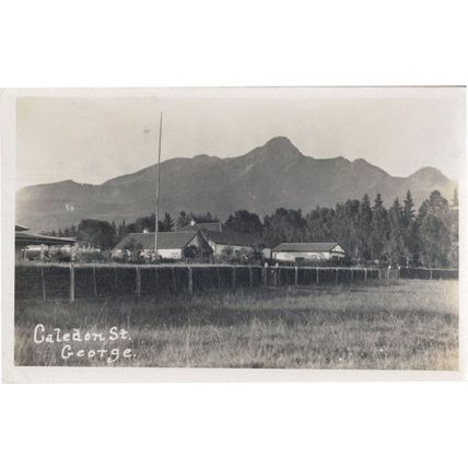 Caledon Street George South Africa Antique Real Photo Postcard