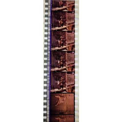 VAMPIRES. Pk MTP - b050x . 1 STRIP OF 5 - 35MM FILM CELLS. MTP