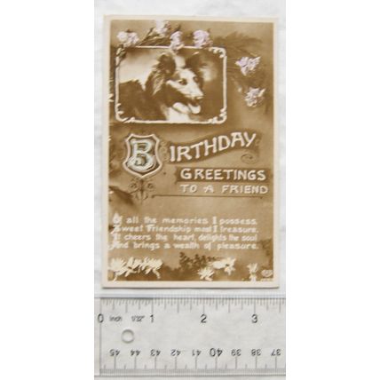 1913 postcard Birthday Greetings To A Friend