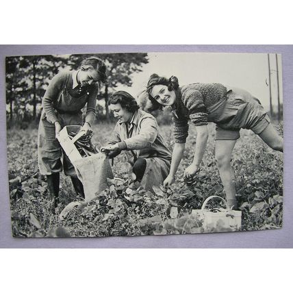 c.1980s PC 3 Women from Bourne & Hollingworth London 1949