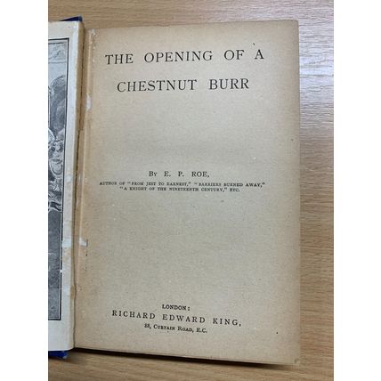 ANTIQUE E P ROE "THE OPENING OF A CHESTNUT BURR" FICTION BOOK (P3)
