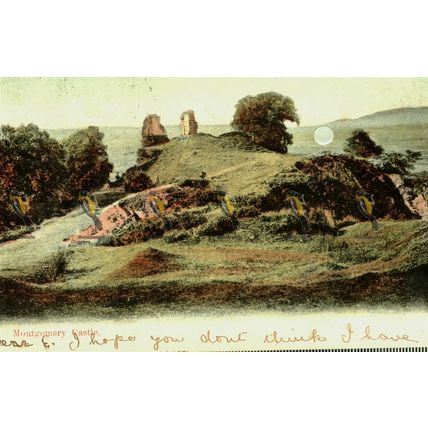 Montgomery Castle, Wales, Rare Postcard, 1905