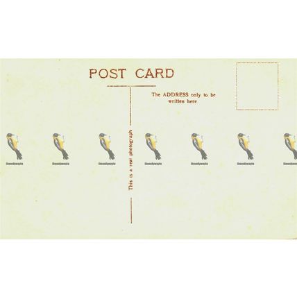 Scottish National War Memorial, Edinburgh Castle, 15 RP Postcard