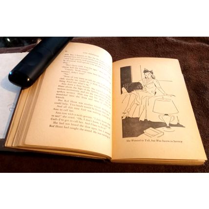 Old Vintage Book Ann Sheridan And The Sign Of The Sphinx 1943 Great Condition
