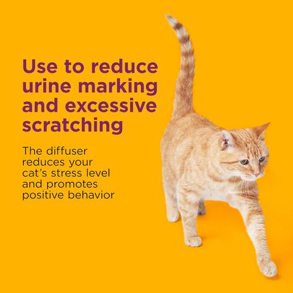 COMFORT ZONE 6 Pack Multicat Diffuser Refills; Cat Calming Pheromones Help Anxie