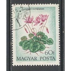 Hungary.SG2398 60fi Pansy.Fine Used.Jan15