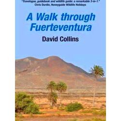 A Walk Through Fuerteventura