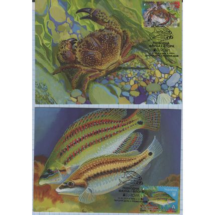 UKRAINE Maxi card Kyiv EUROPA Underwater Fauna and Flora Black Sea 25.06.2024