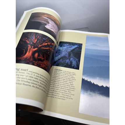 National Geographic Magazine June 1995 Quiet Miracles of the Brain Vintage b