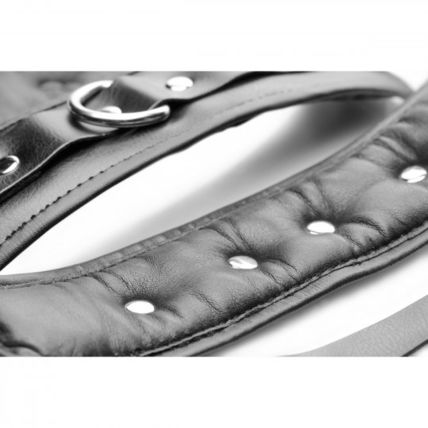 Strap Linked Bondage Wrist Cuffs BDS&M Master Series Red Room Sexy Leather Handc