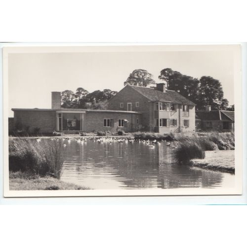 The Wildfowl Trust Slimbridge Gloucestershire RP Postcard