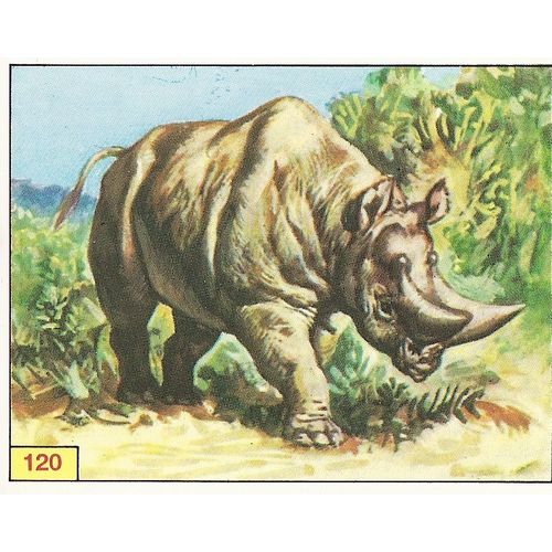 Panini's Dinosaurs Sticker Collection - Sticker No. 120