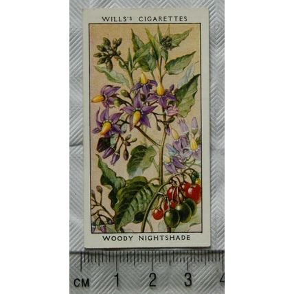 1936 Wills, Wild Flowers No. 34 Woody Nightshade