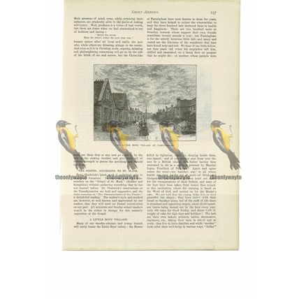 Little Boys Village, Farningham, Kent, Book Illustration (Print), 1888